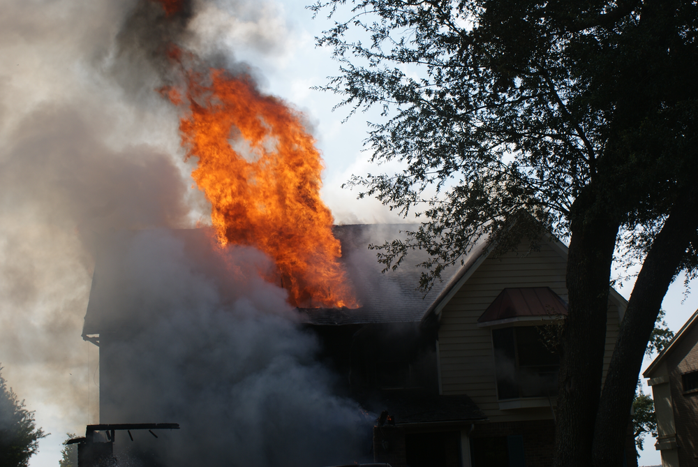 Dsc06516[1] jpg 10548574